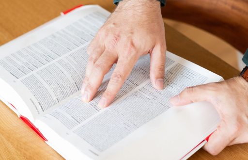 kristof-djulibravenboer-41